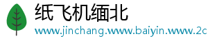 纸飞机缅北